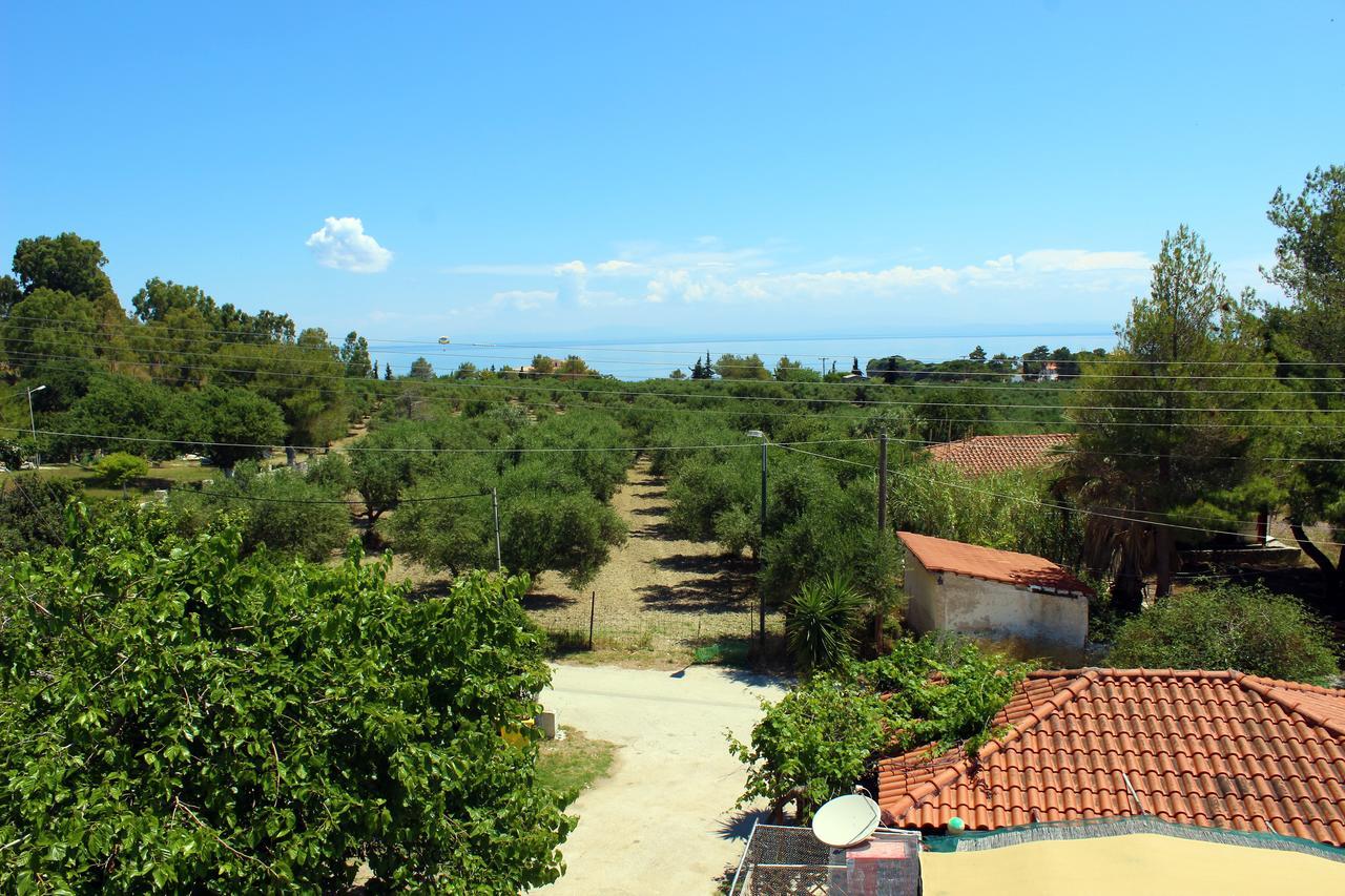 Zante Yliessa Apartment Vasilikos  Ngoại thất bức ảnh